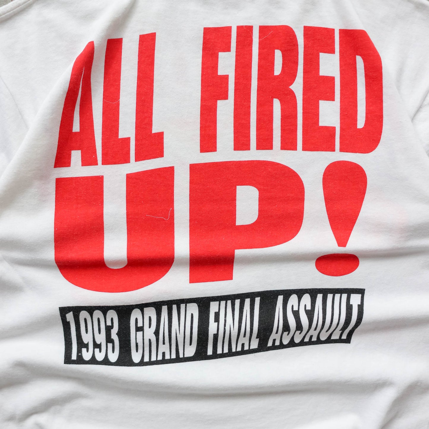St George Dragons NSWRL Winfield Cup Tee - 1993 (L)