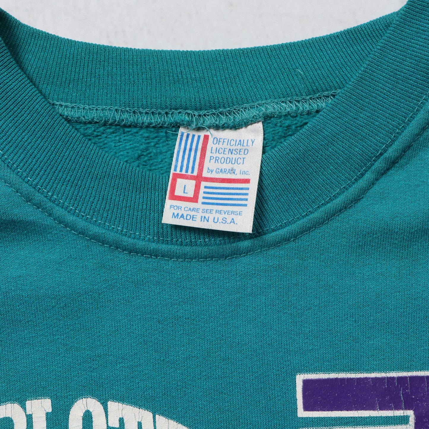 Vintage 90s Charlotte Hornets NBA Crewneck - S