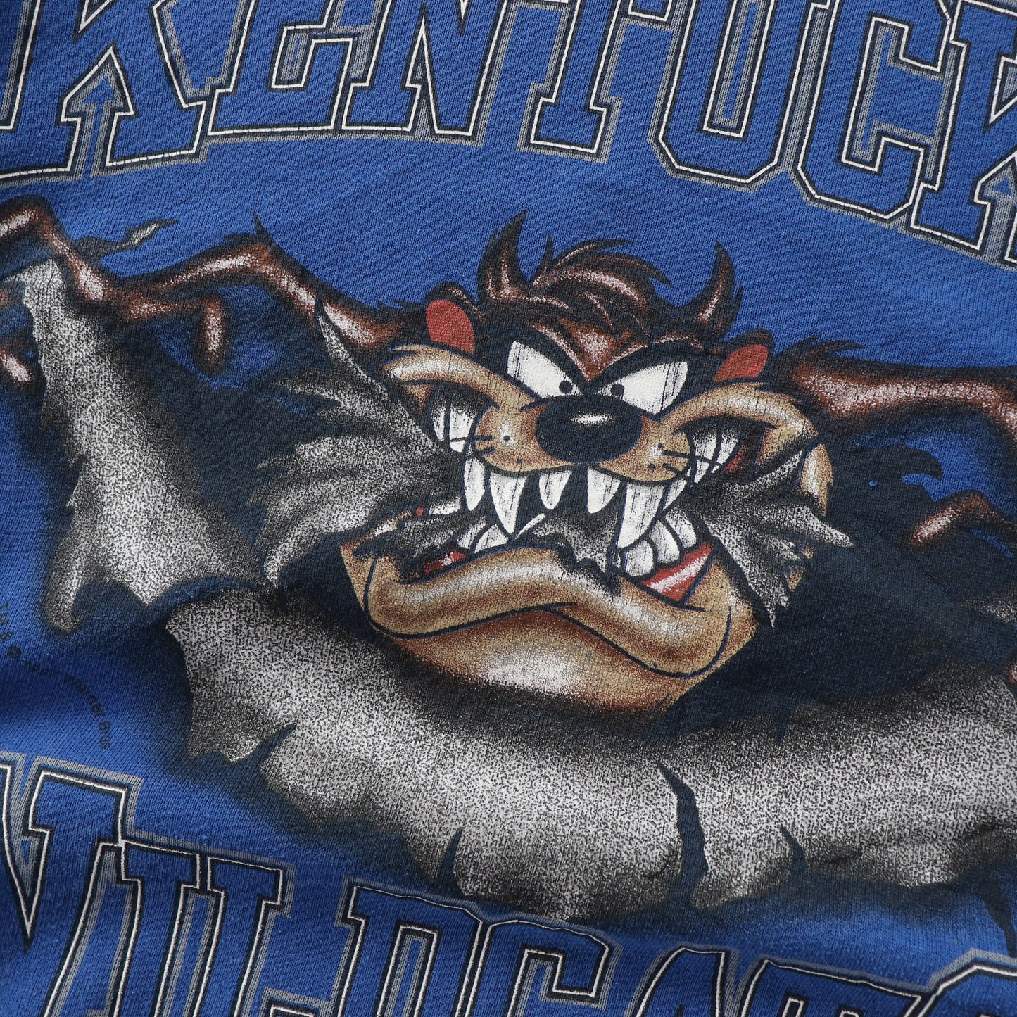 Vintage 90s Kentucky Wildcats x Looney Tunes NCAA Sweatshirt - M