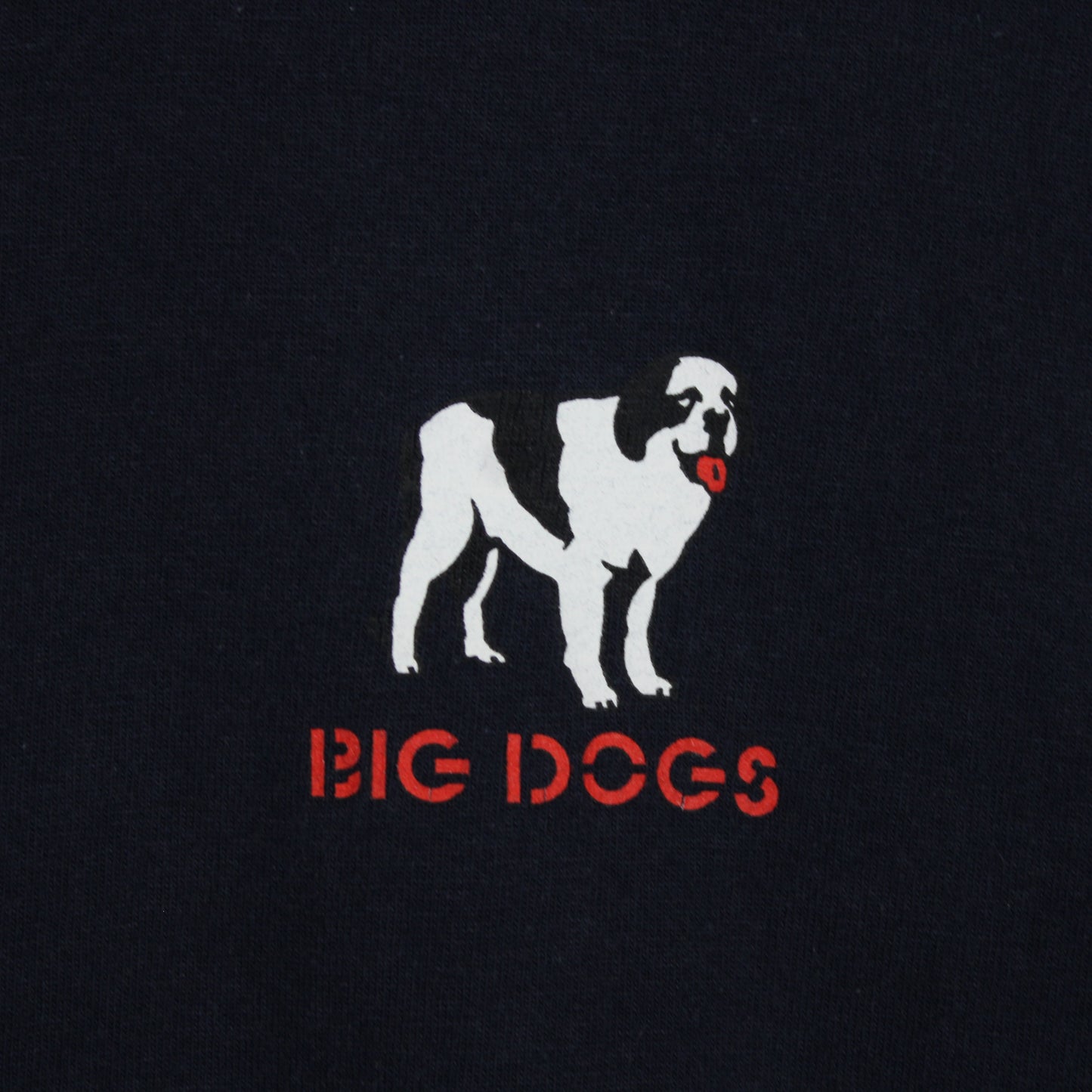 Vintage Big Dogs Hairy Pawter Parody Tee - XL