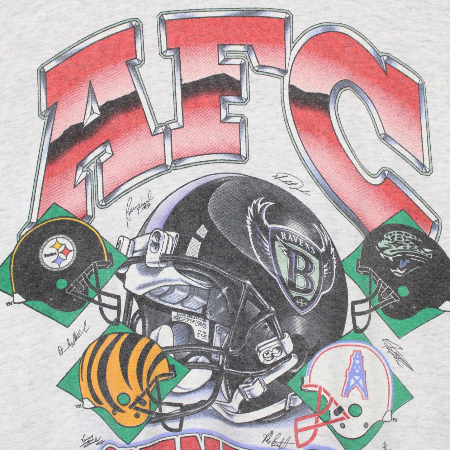 Vintage 1996 AFC Central Division NFL Tee - L