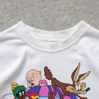Looney Tunes Warner Bros Movie World Tee - 1995 (S)