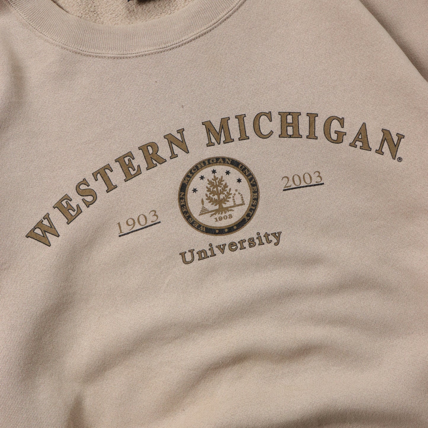 Vintage Western Michigan University NCAA Crewneck - L