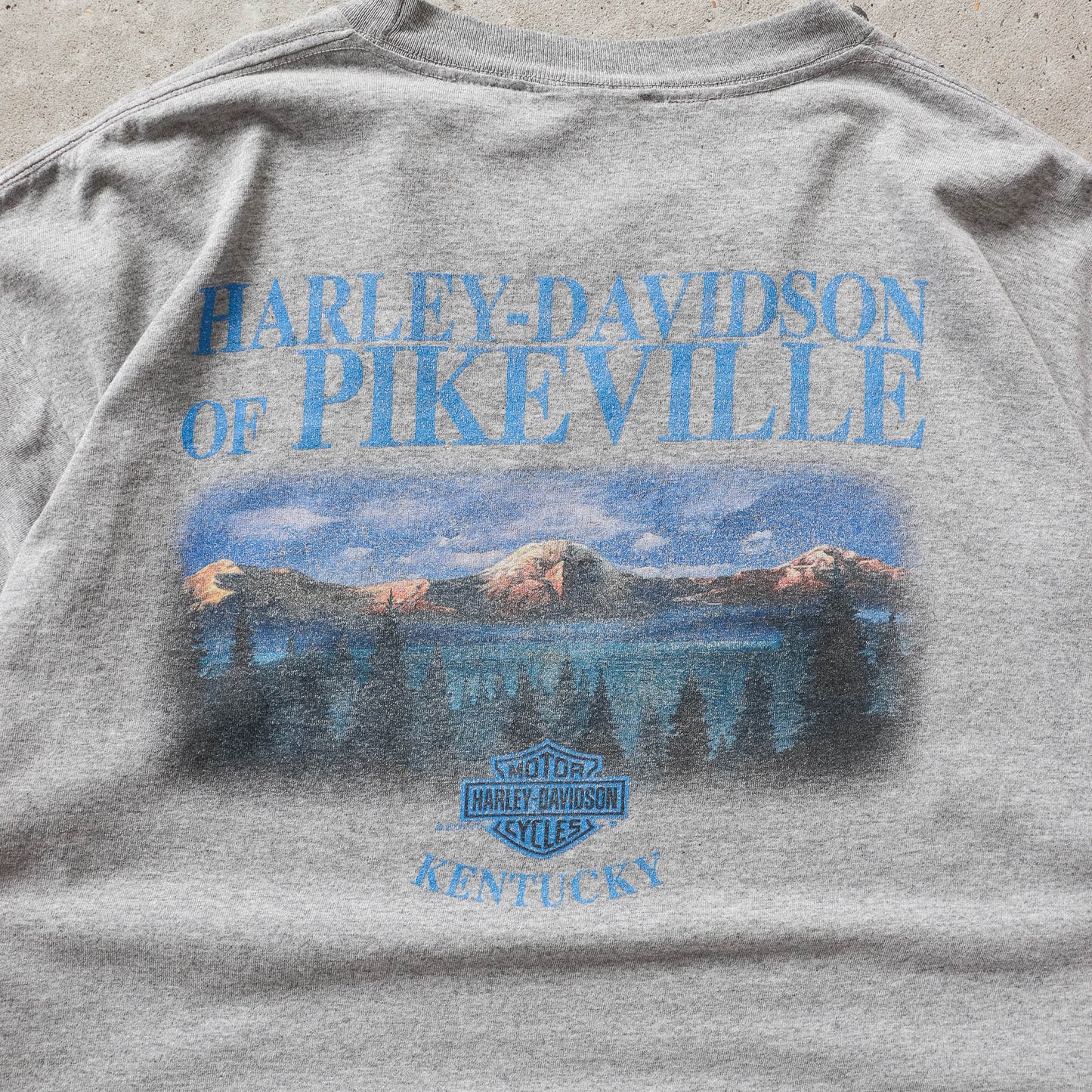 Vintage 2004 Harley Davidson Eagle Tee - XL