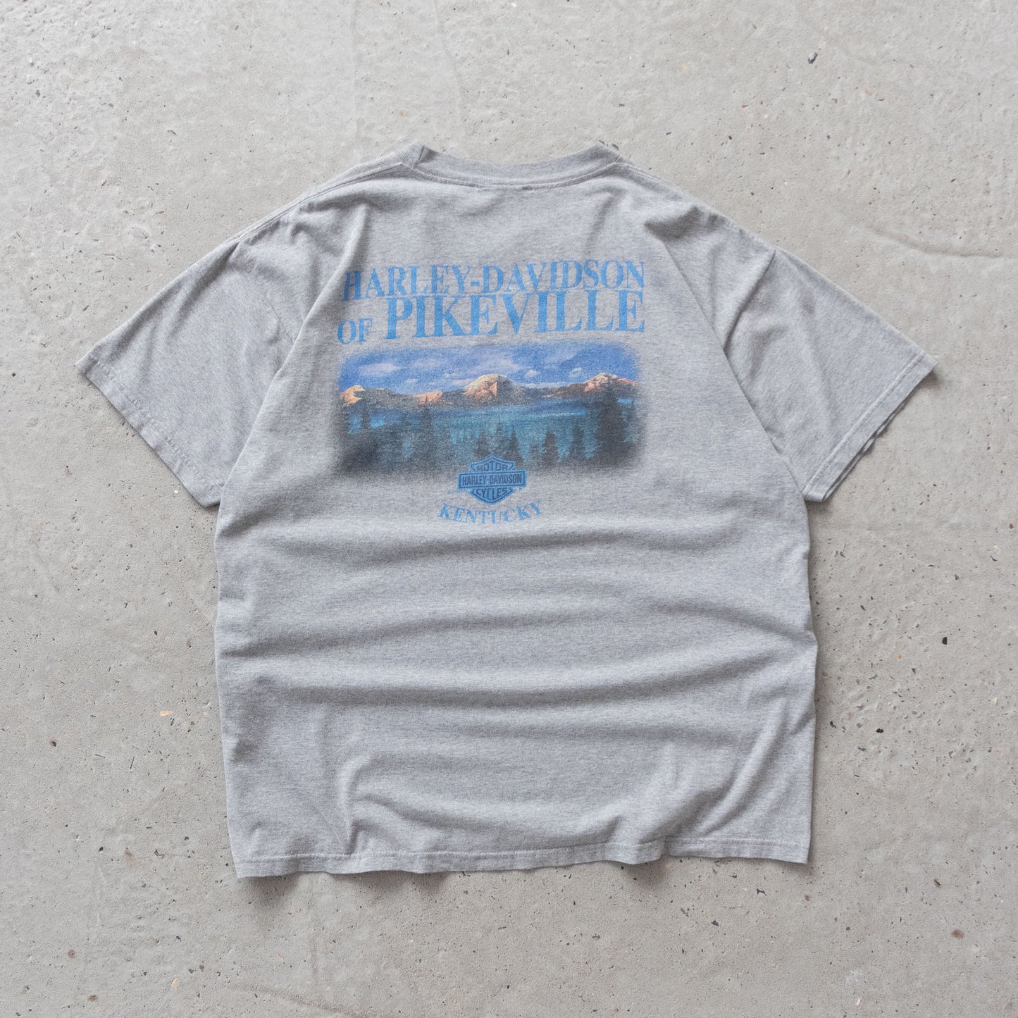 Vintage 2004 Harley Davidson Eagle Tee - XL