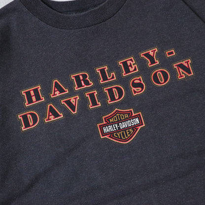 Vintage 90s Harley Davidson Spellout Tee - XL