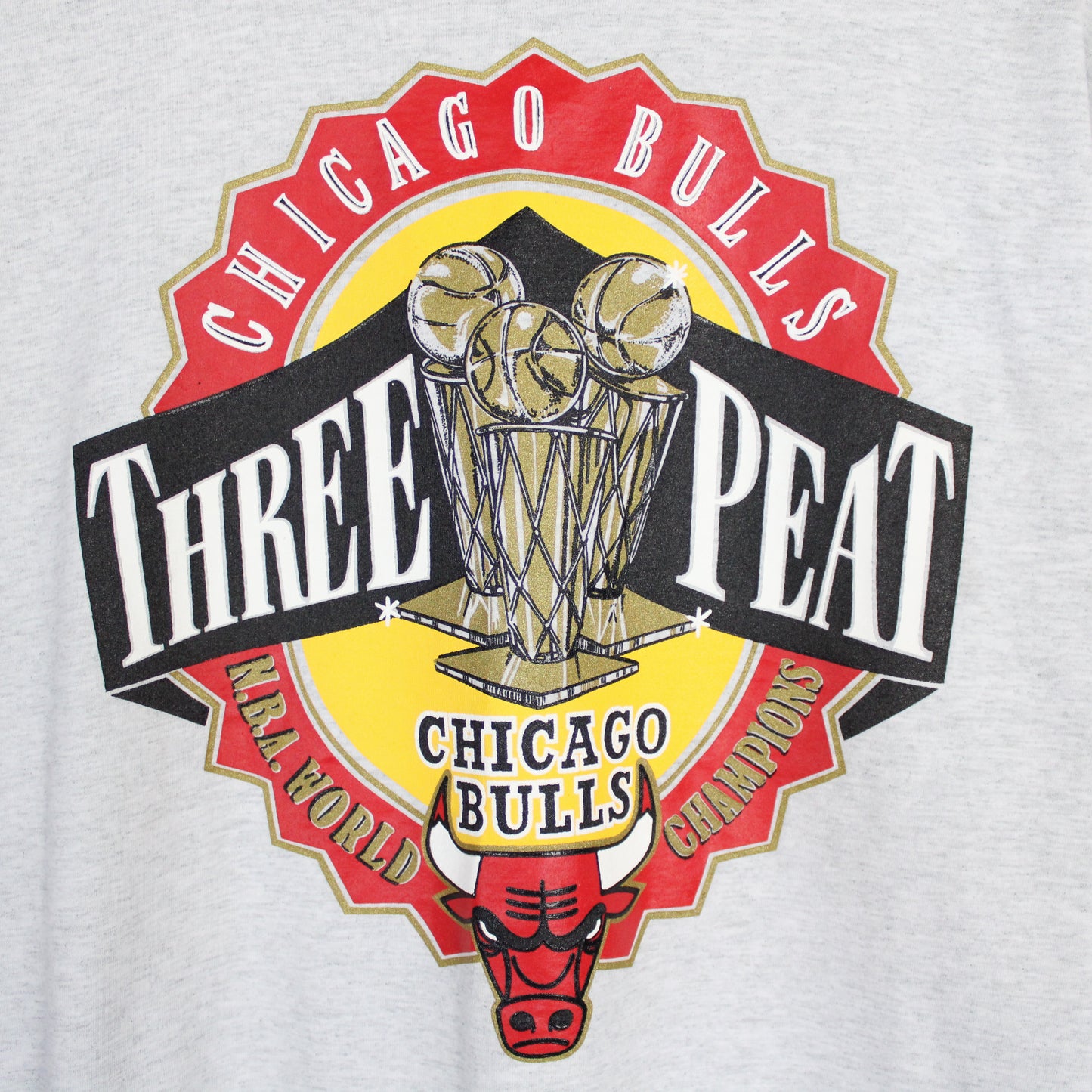 Vintage 1993 Chicago Bulls NBA Champions Tee - XL