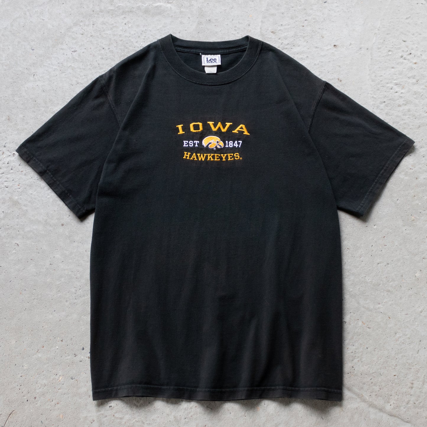 Vintage 90s Iowa Hawkeyes Embroidered NCAA Tee - L