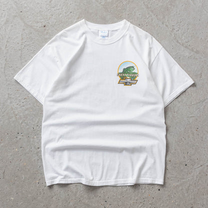 Vintage 2001 Chevy Trucks Tee - L
