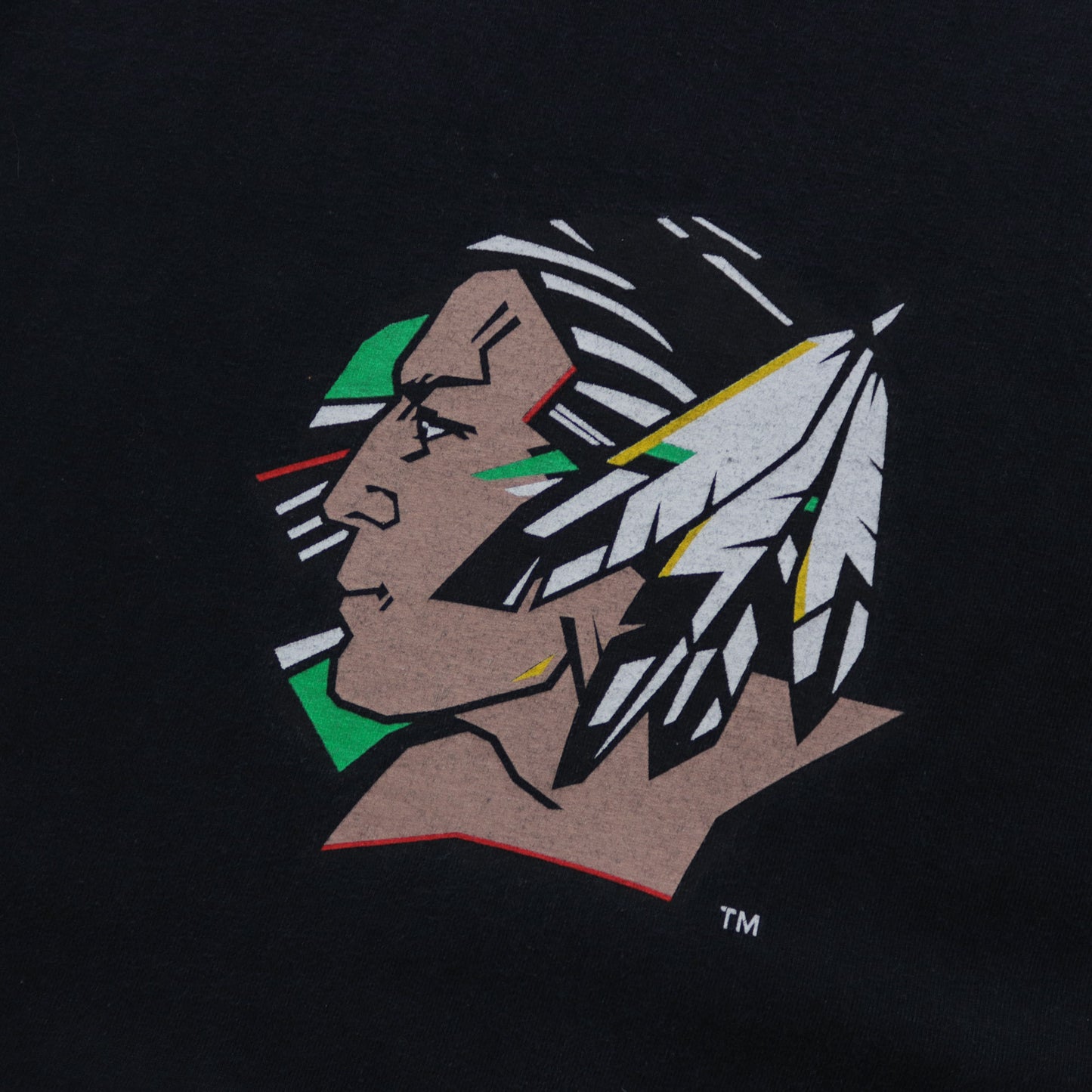 Vintage 90s North Dakota Fighting Sioux Nike Tee - L