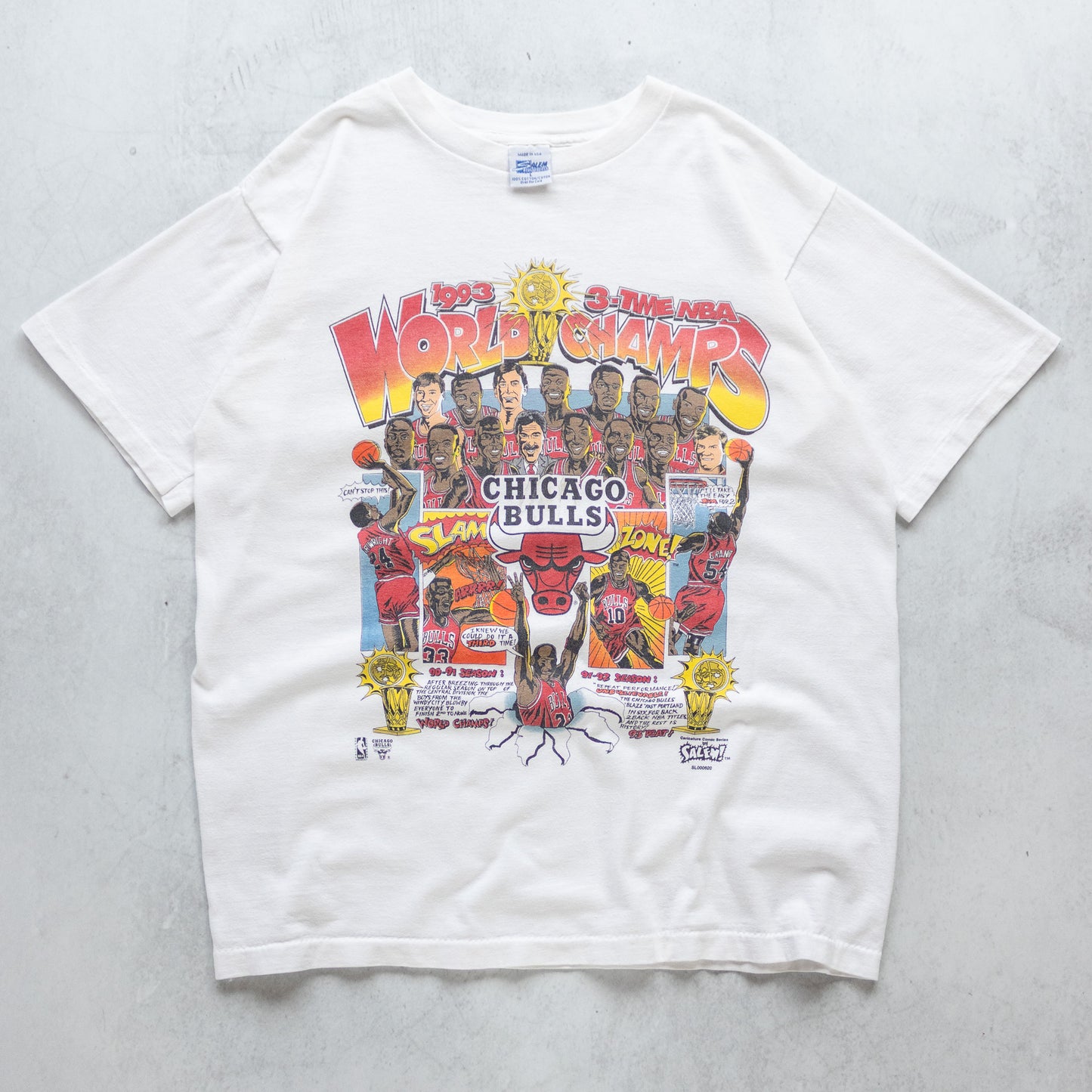 Vintage 1993 Chicago Bulls NBA Champions Salem Comic Tee - L