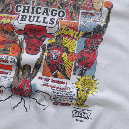 Vintage 1993 Chicago Bulls NBA Champions Salem Comic Tee - L