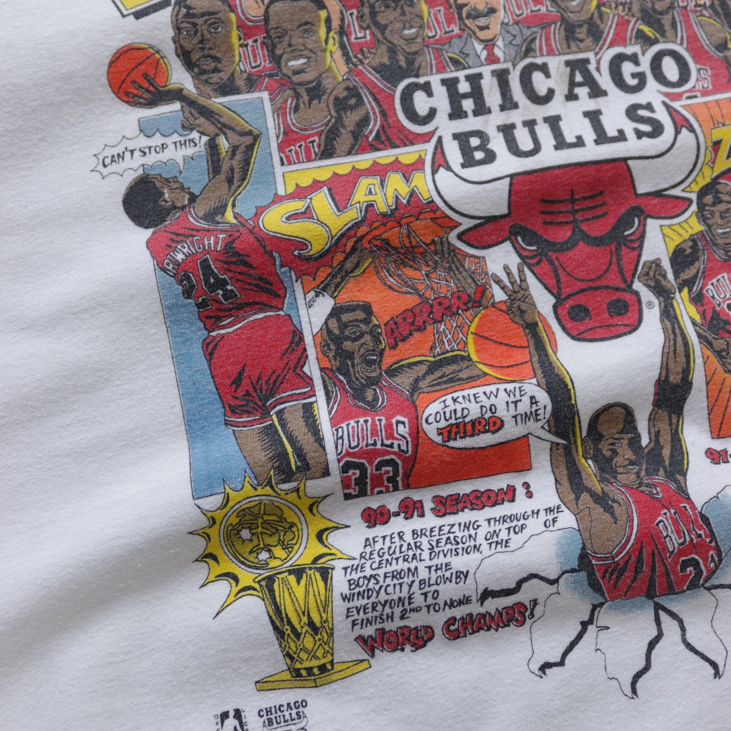 Vintage 1993 Chicago Bulls NBA Champions Salem Comic Tee - L