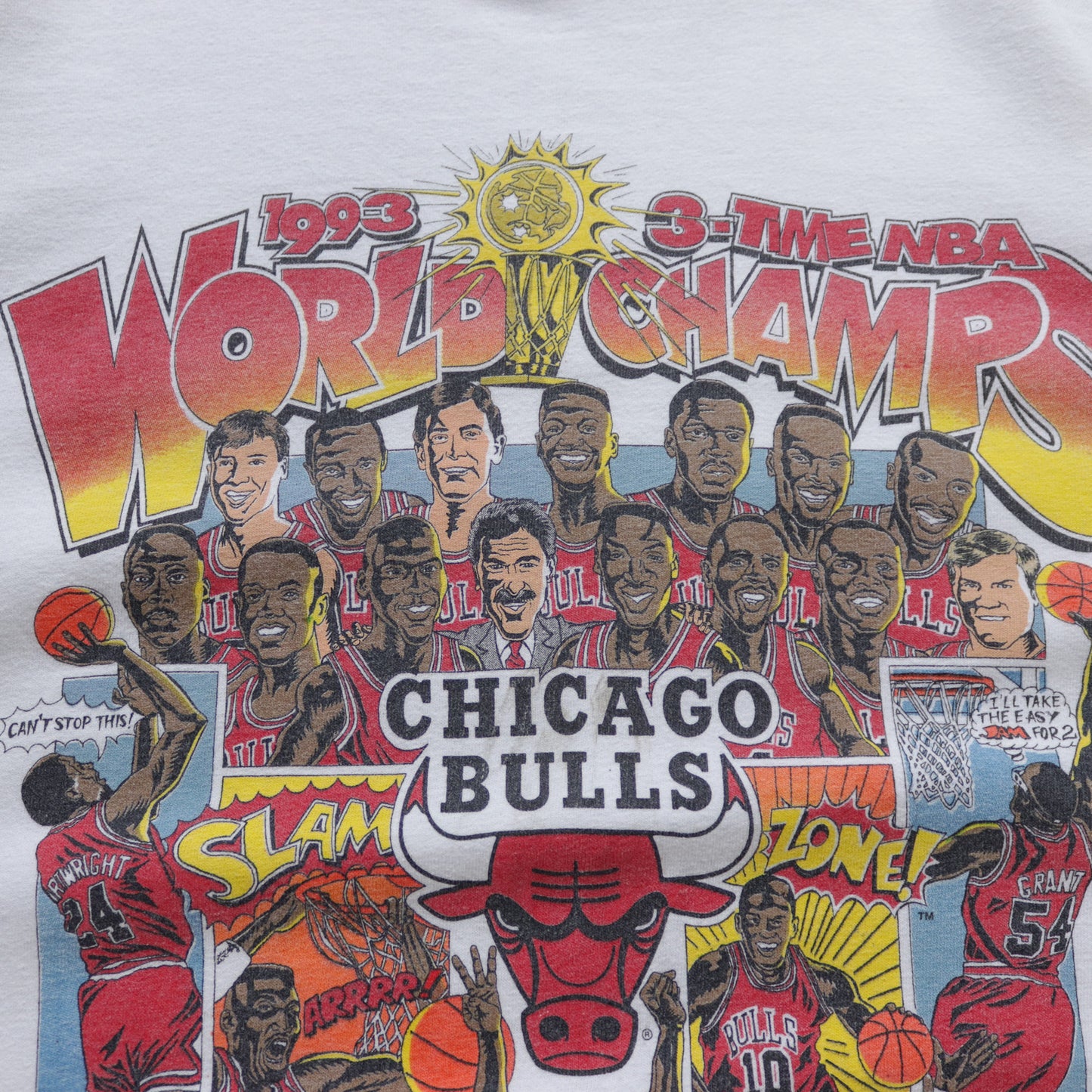 Vintage 1993 Chicago Bulls NBA Champions Salem Comic Tee - L