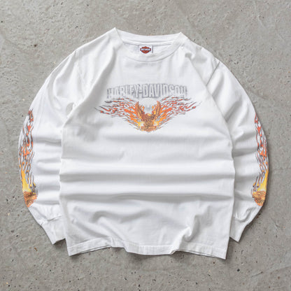 Vintage 2004 Harley Davidson Long Sleeve Flames Tee - M