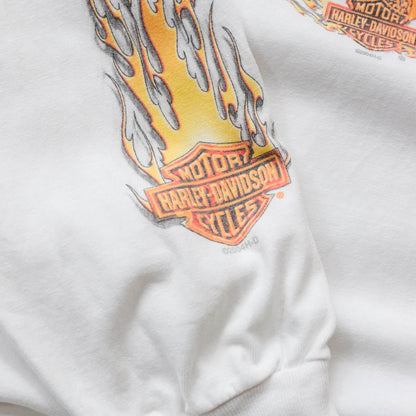 Vintage 2004 Harley Davidson Long Sleeve Flames Tee - M