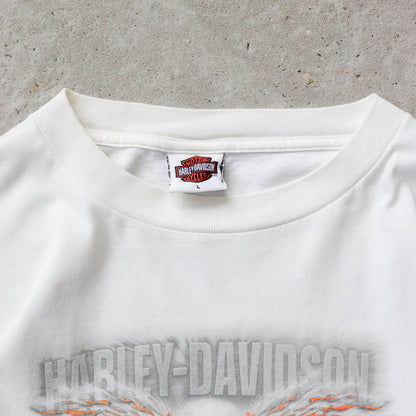 Vintage 2004 Harley Davidson Long Sleeve Flames Tee - L