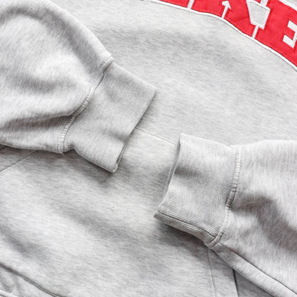 Nike Embroidered Collegiate Spellout Hoodie - 2000s (M)
