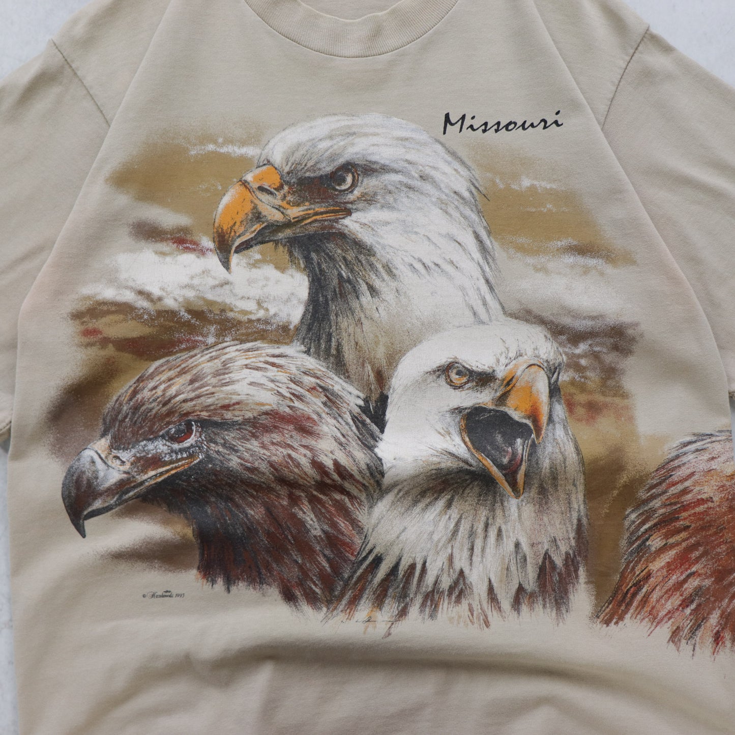 Vintage 90s Bald Eagle Wildlife Tee - M