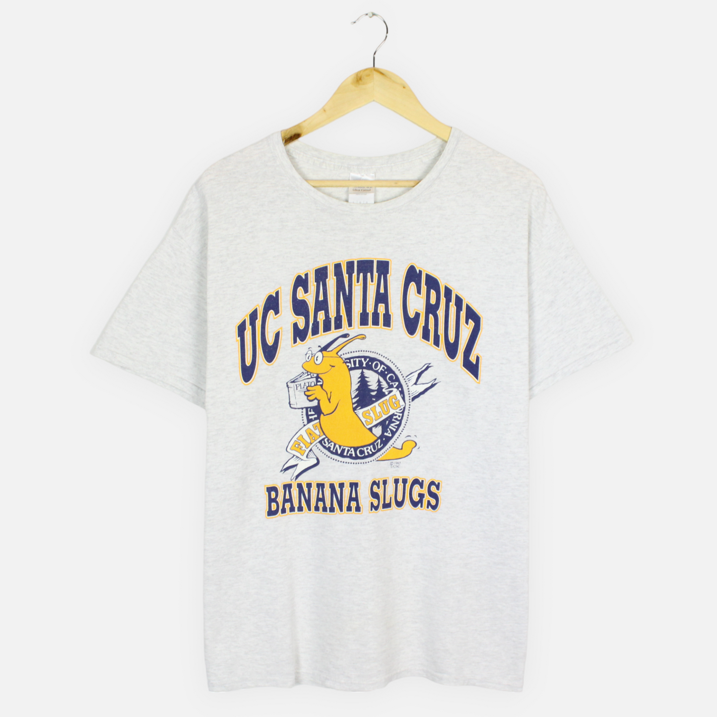 Vintage UC Santa Cruz Banana Slugs NCAA Tee - L