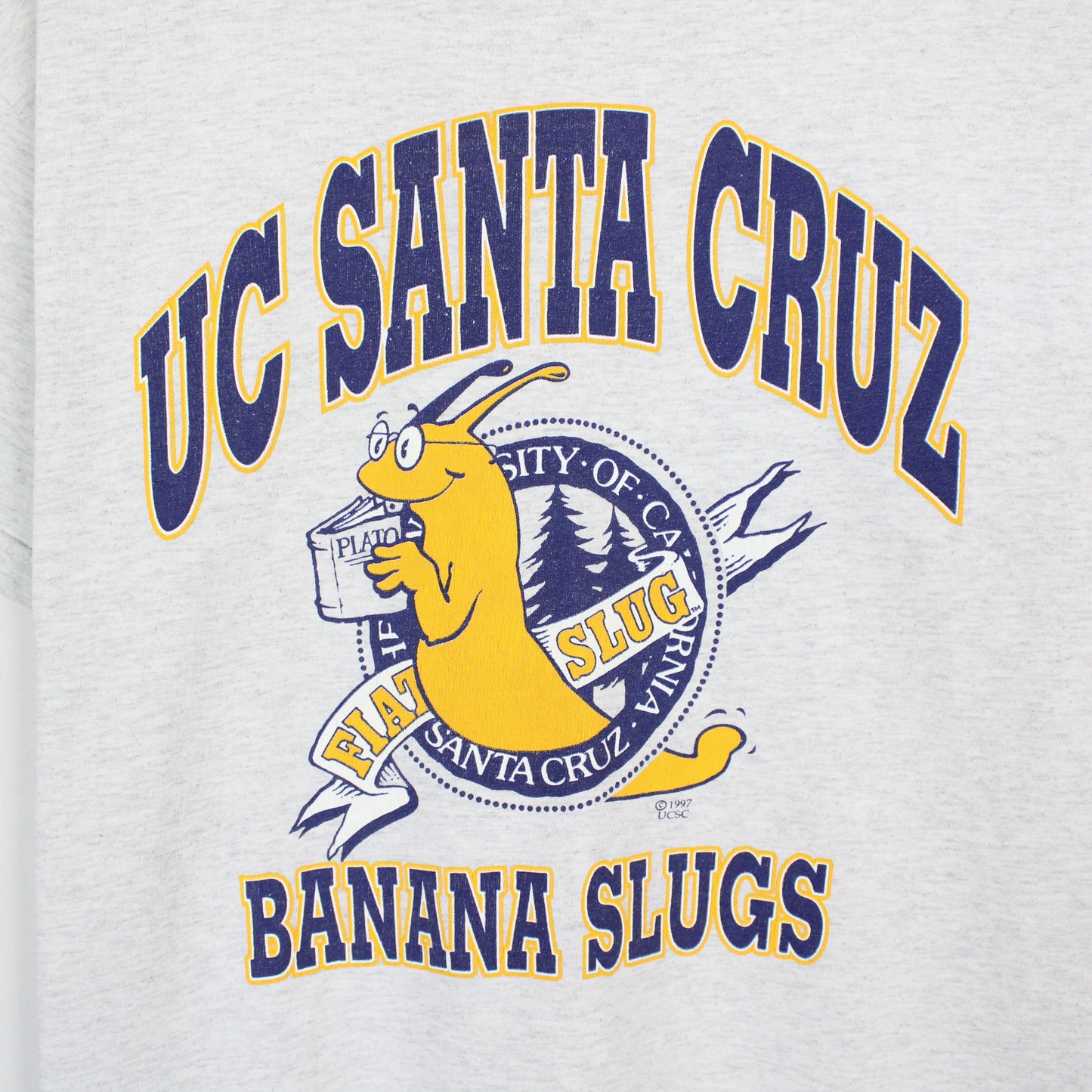 Vintage UC Santa Cruz Banana Slugs NCAA Tee - L