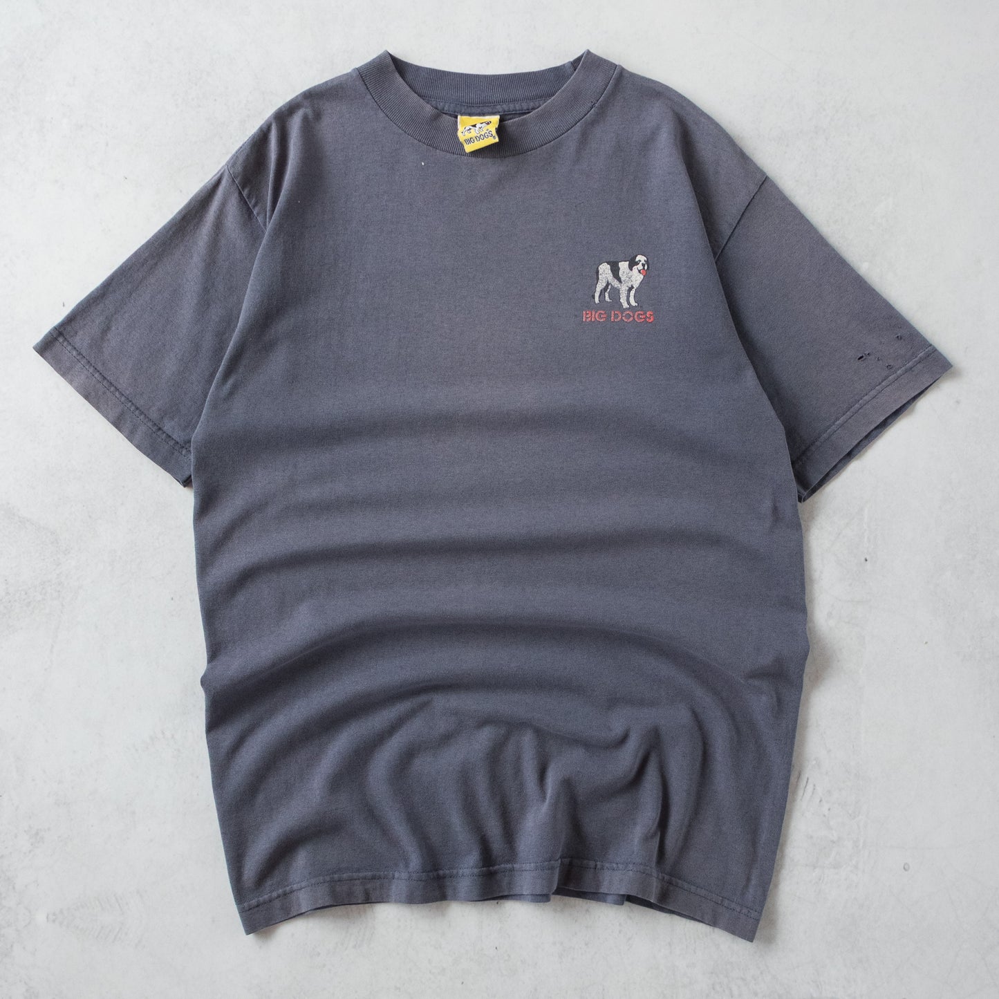 Vintage 90s Big Dogs 'Rex Files' Tee - S