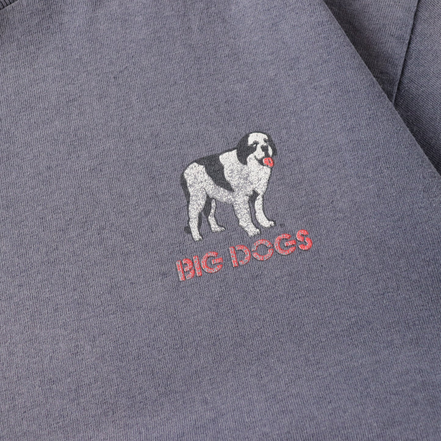 Vintage 90s Big Dogs 'Rex Files' Tee - S