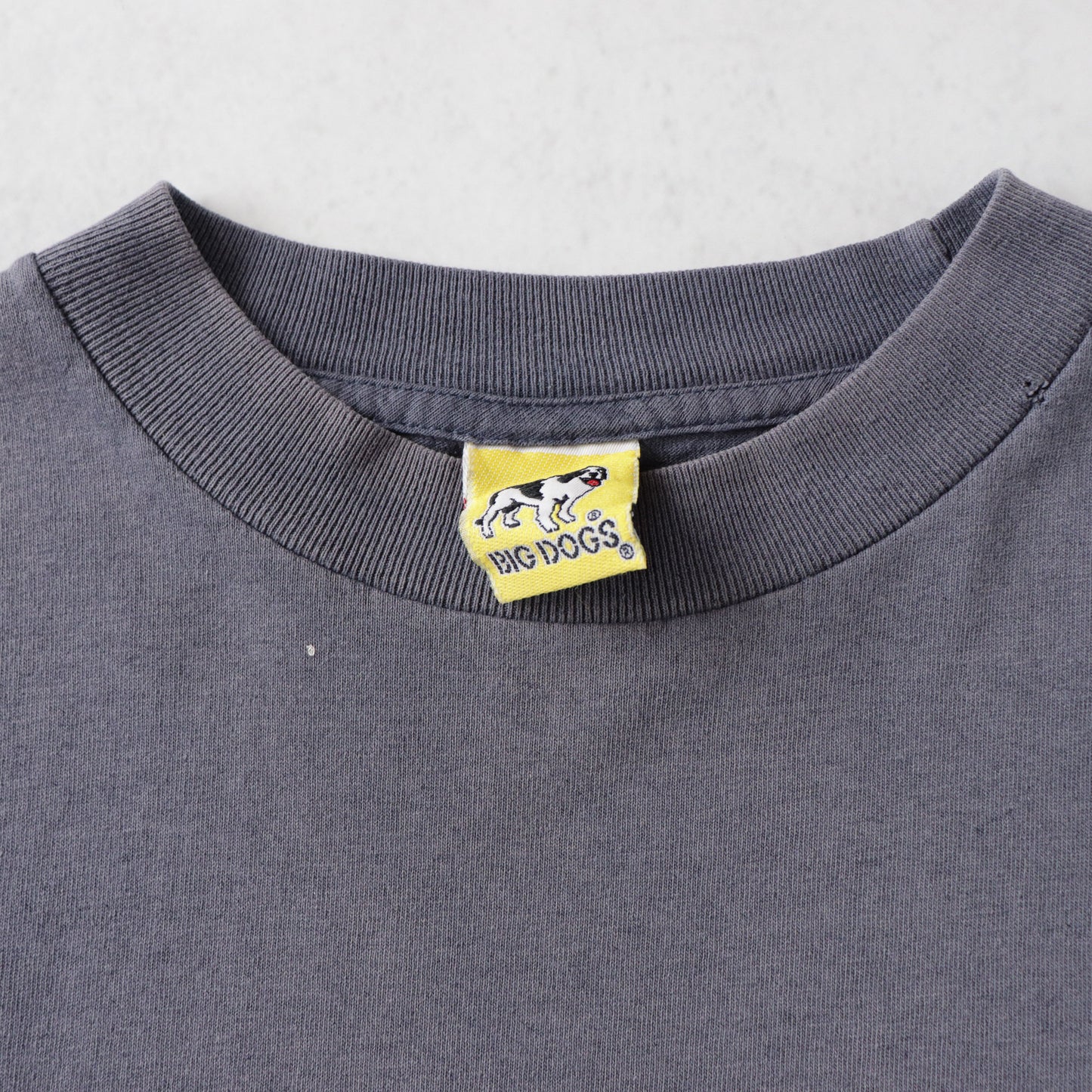 Vintage 90s Big Dogs 'Rex Files' Tee - S