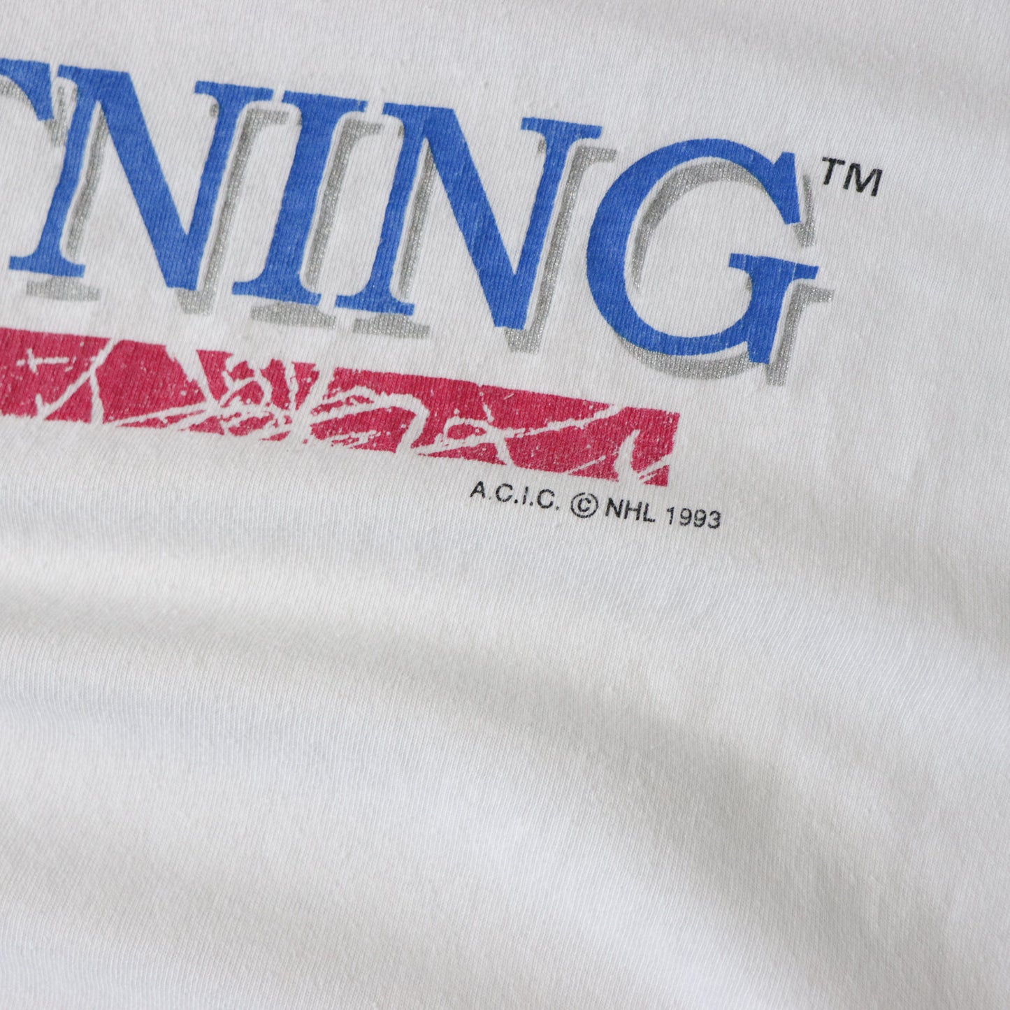 Vintage 1993 Tampa Bay Lightning NHL Tee - L