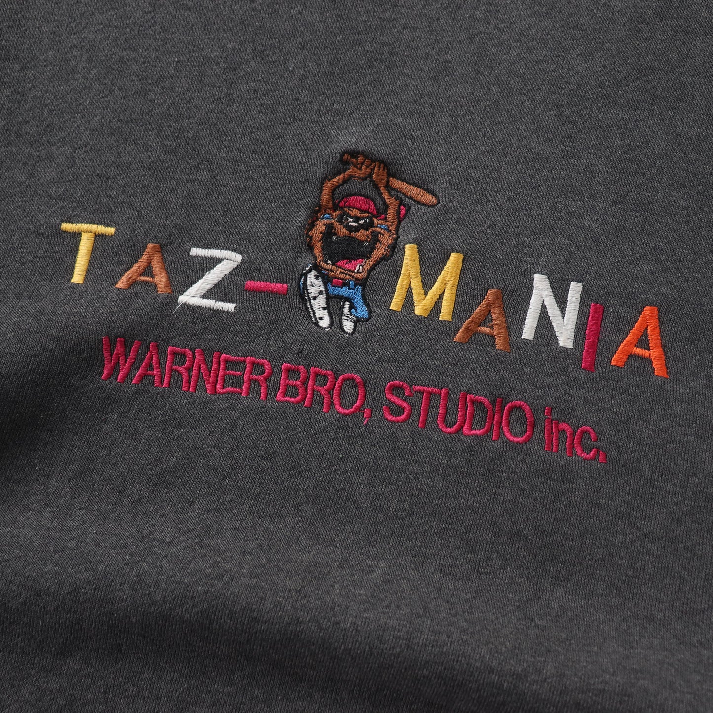 Vintage 90s Taz-Mania Looney Tunes Sweatshirt - M