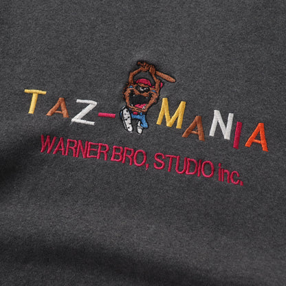 Vintage 90s Taz-Mania Looney Tunes Sweatshirt - M