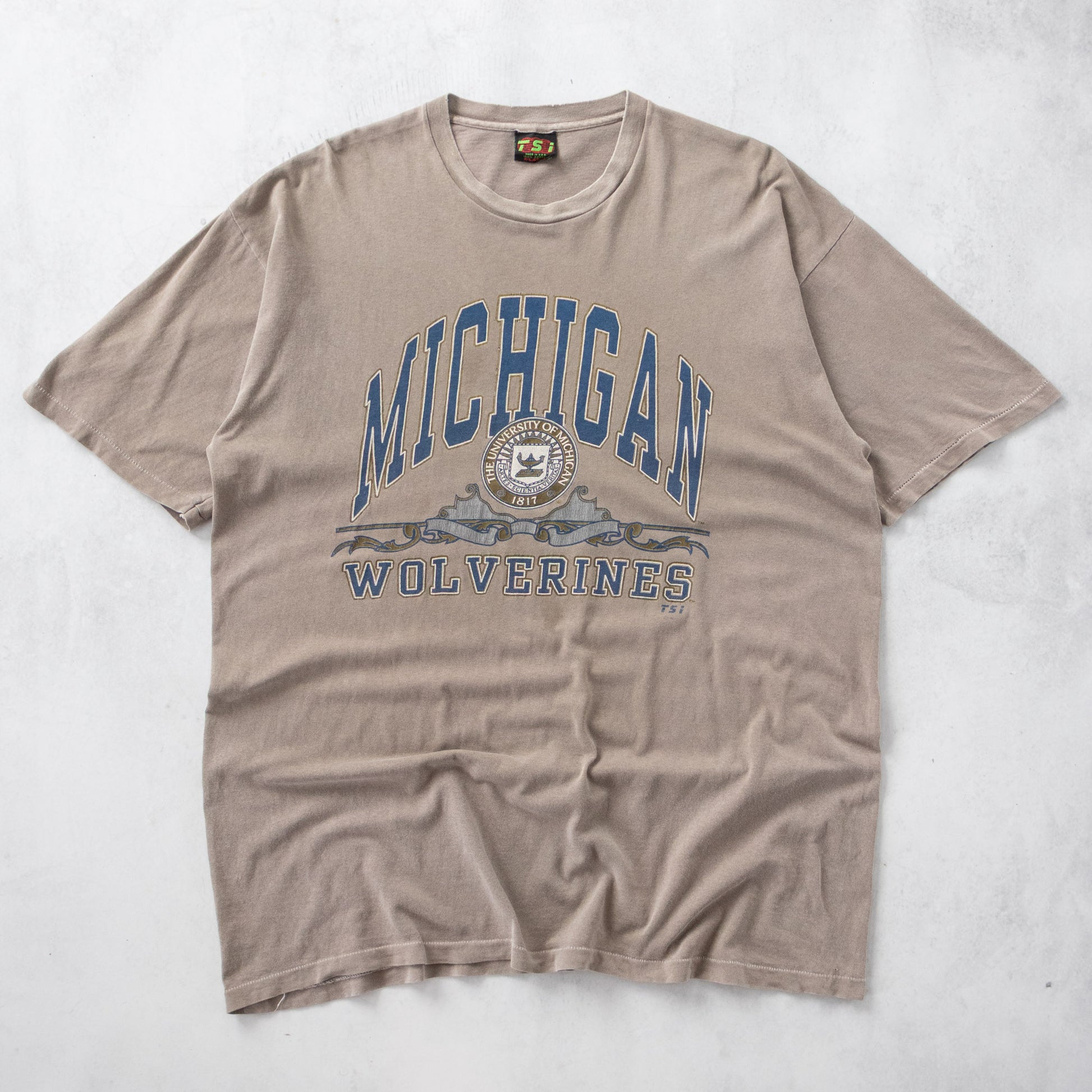 Vintage 90s Michigan Wolverines NCAA Tee - XXL - AL Vintage