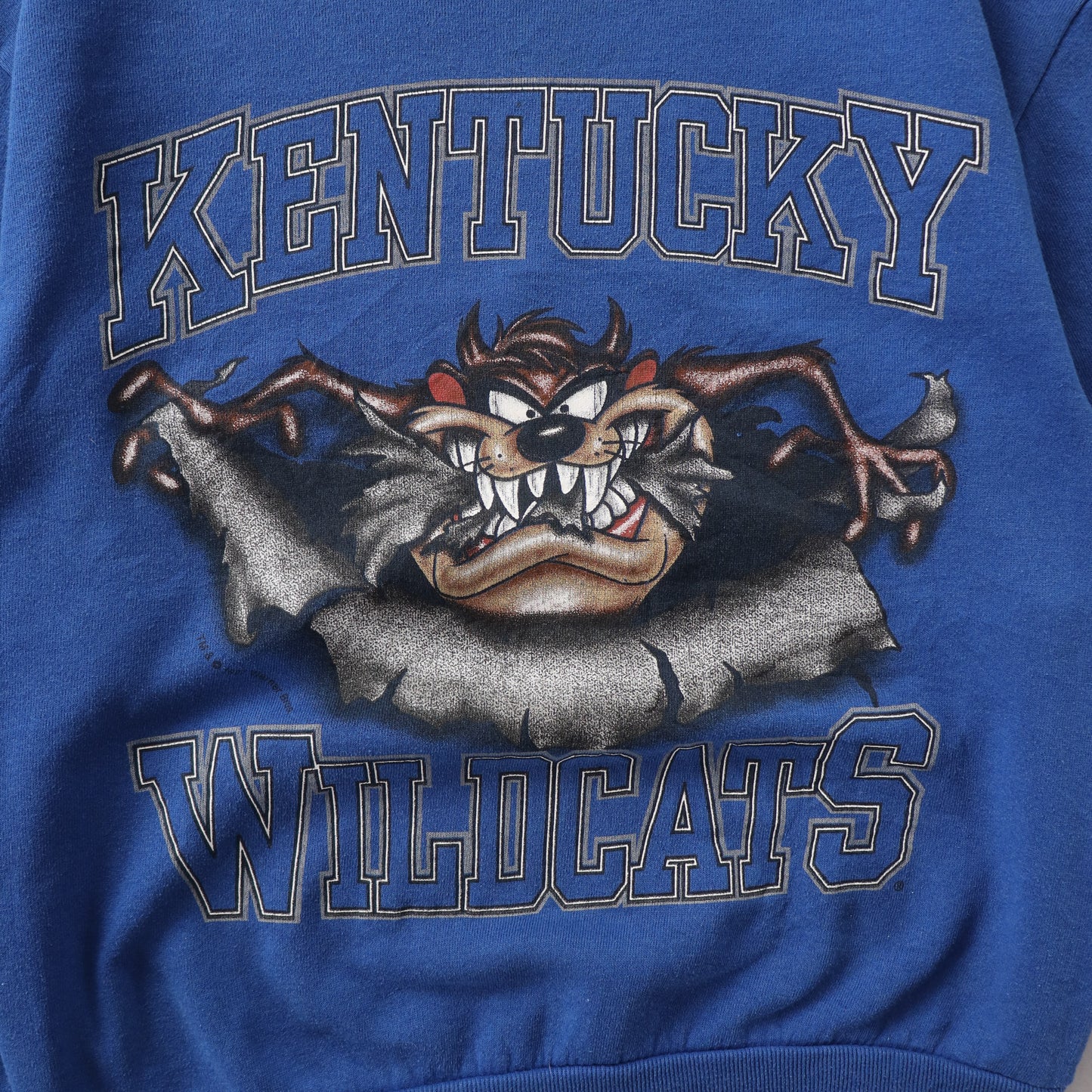 Vintage 90s Kentucky Wildcats x Looney Tunes NCAA Sweatshirt - M