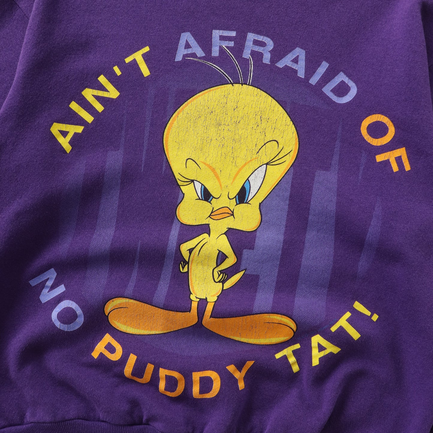 Vintage 90s Tweety Bird Looney Tunes Sweatshirt - M