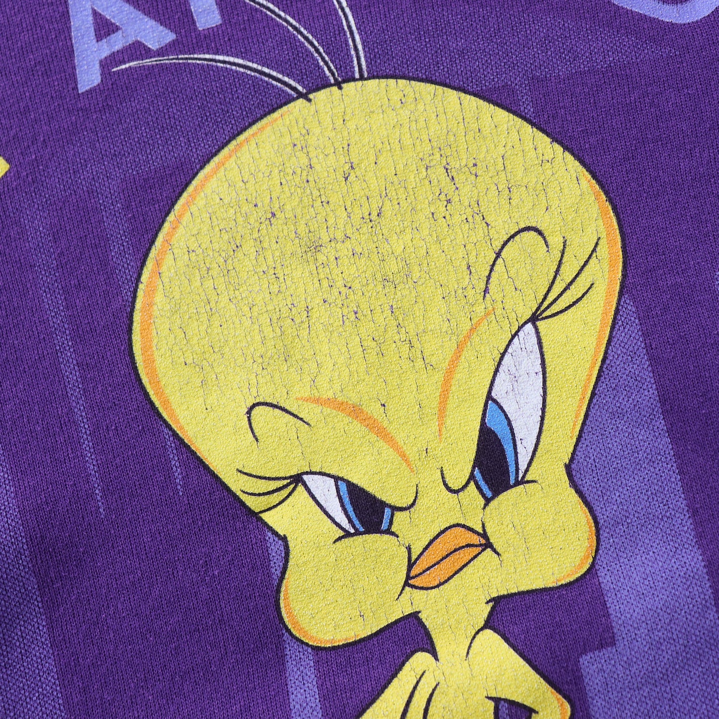 Vintage 90s Tweety Bird Looney Tunes Sweatshirt - M