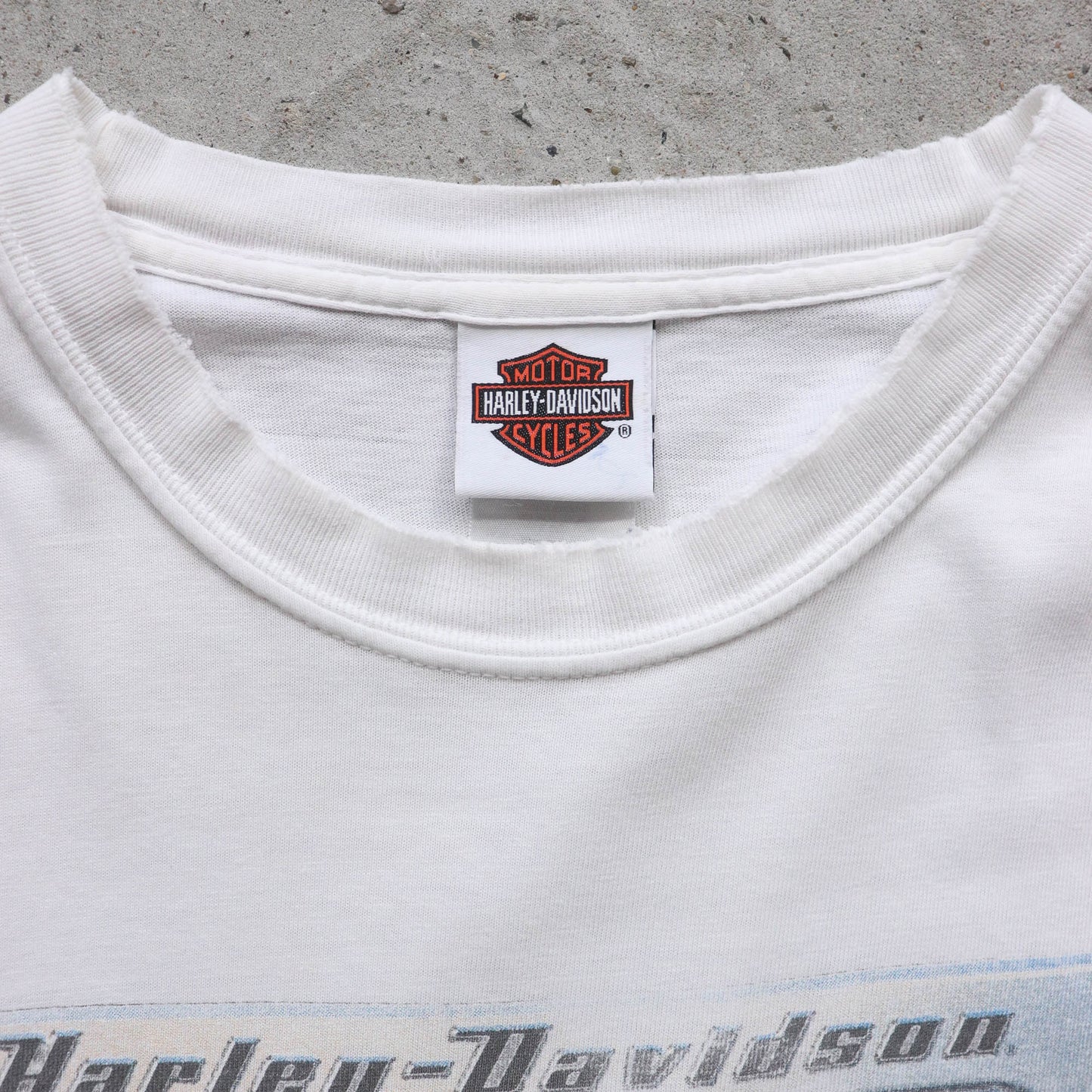 Harley Davidson License Plate Tee - 2003 (XL)