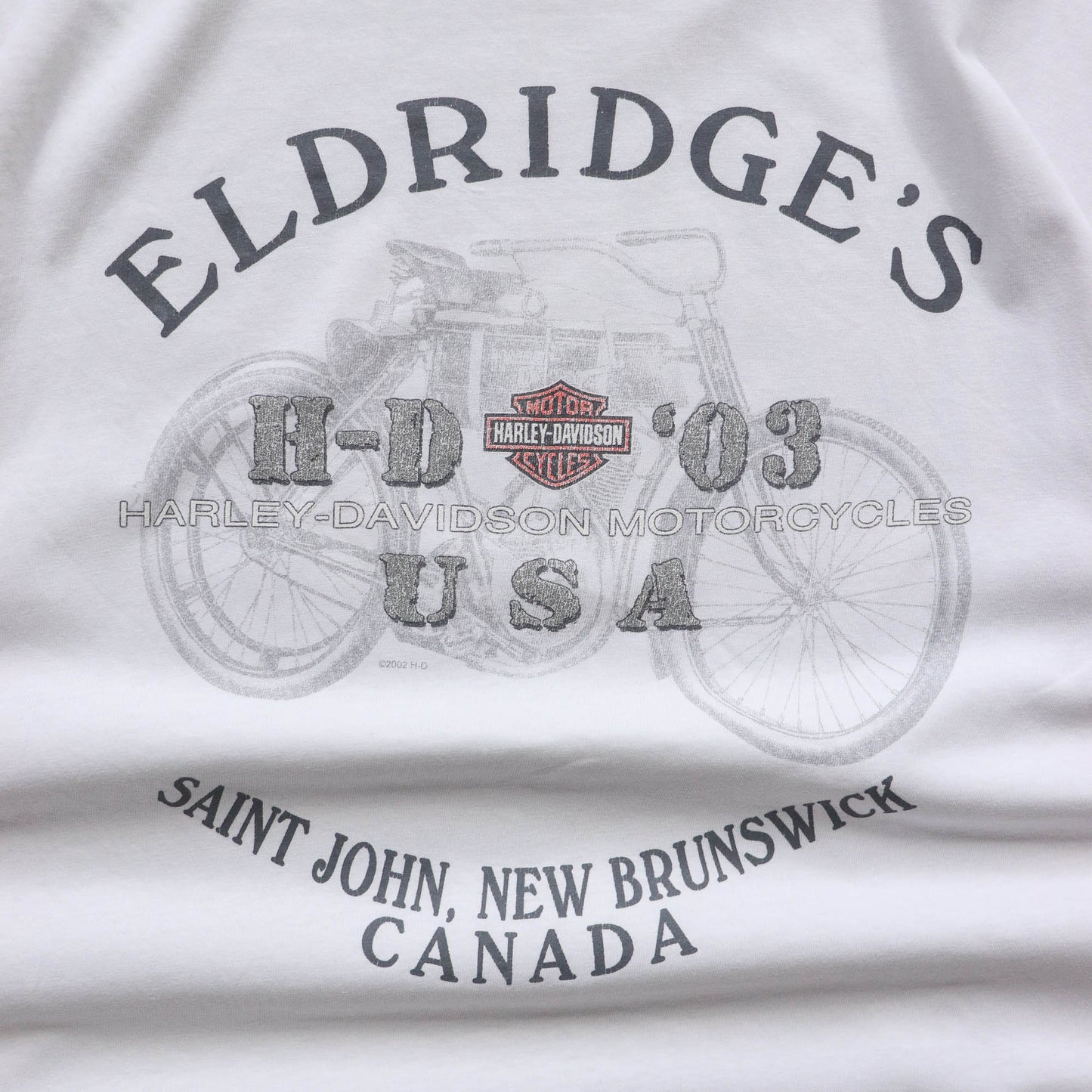 Harley Davidson License Plate Tee - 2003 (XL)