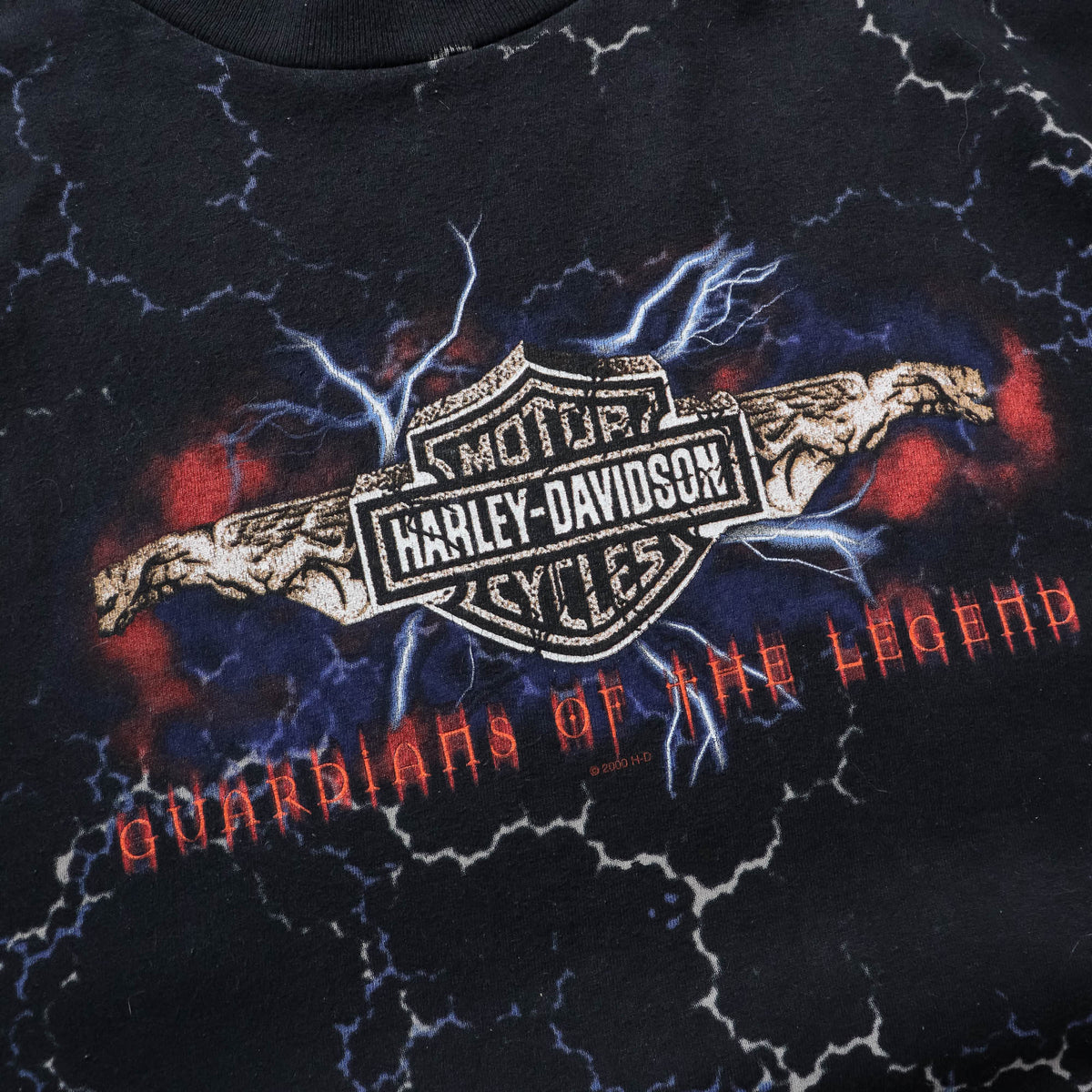 Harley Davidson AOP Lightning Tee - 2000 (XL)