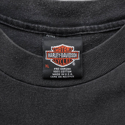 Harley Davidson Ride With Pride Tee - 1996 (XL)