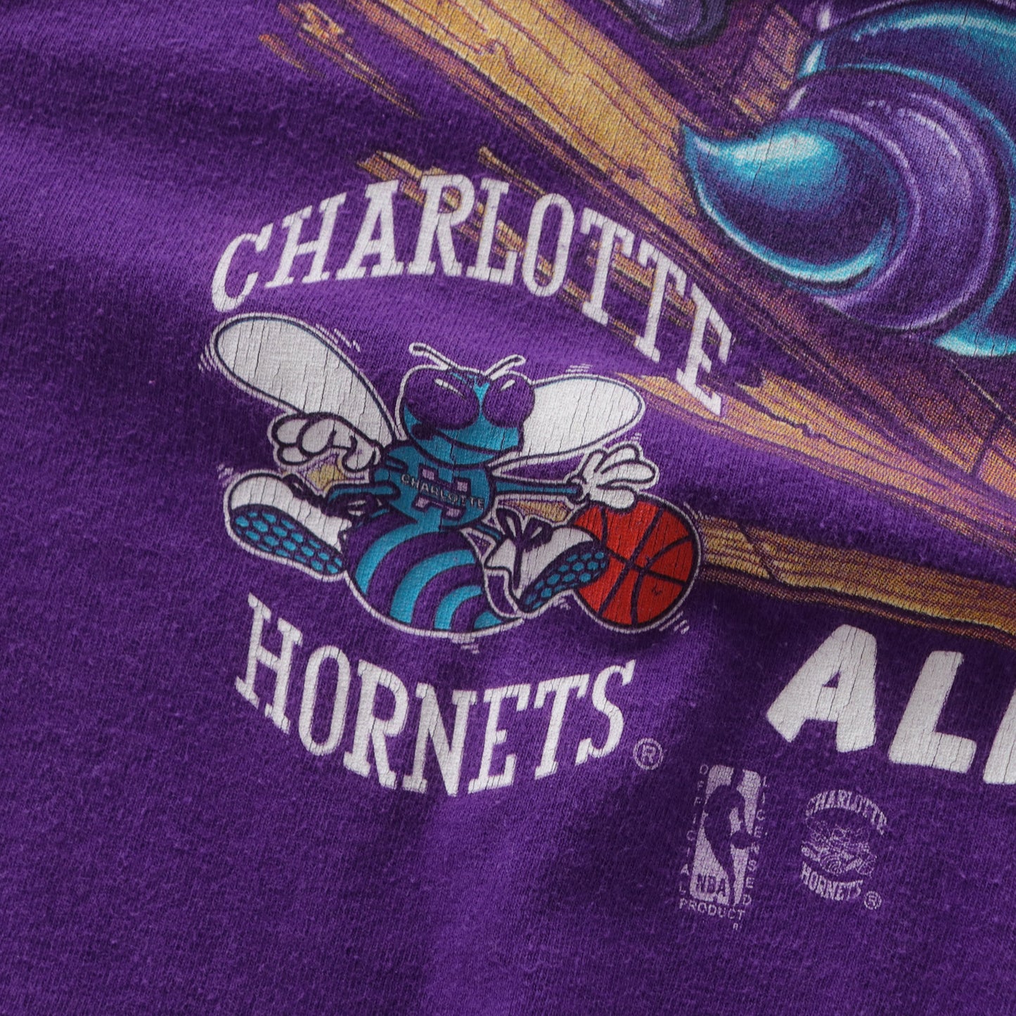 Vintage 90s Charlotte Hornets Salem NBA Tee - M