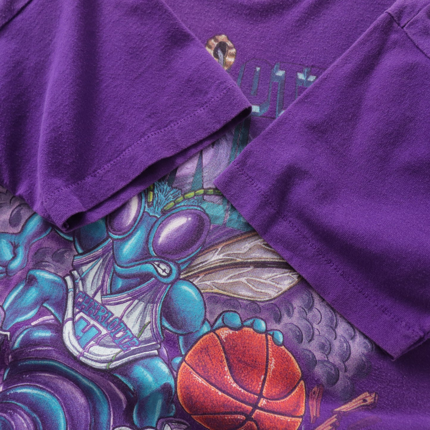 Vintage 90s Charlotte Hornets Salem NBA Tee - M