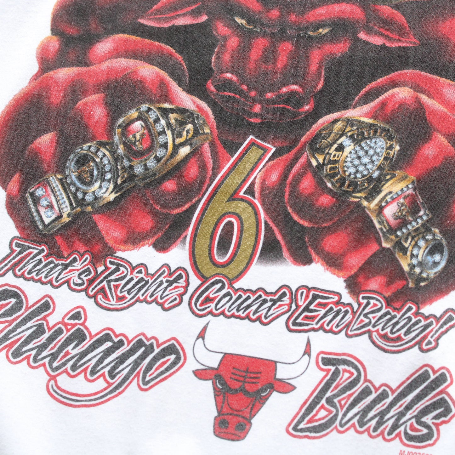 Vintage 1998 Chicago Bulls NBA Champions Tee - XXL