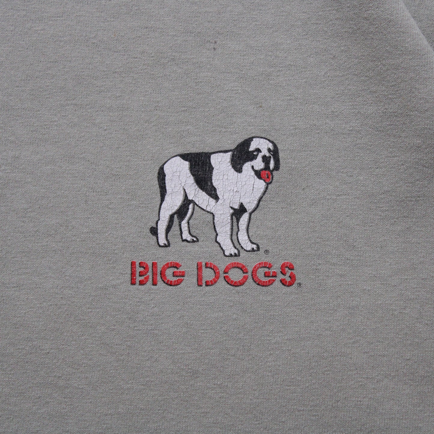 Vintage 2000s Big Dogs Redneck Pickup Lines Tee - XXL