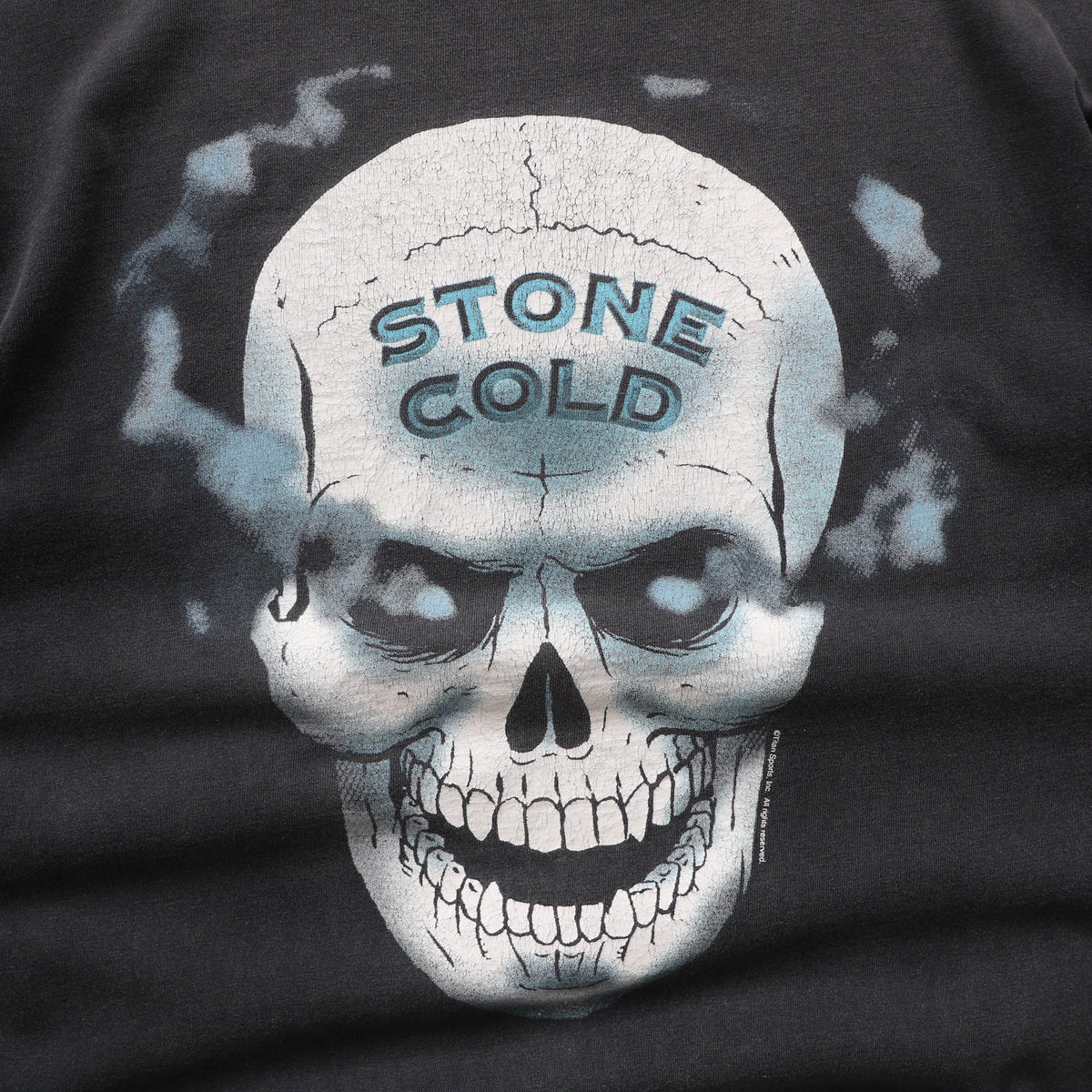 Stone Cold 'Austin 3:16' WWF Tee - 1996 (L)