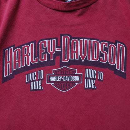 Vintage 2000s Harley Davidson Tee - XL